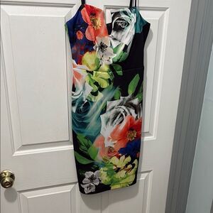 Floral Print Sleeveless Dress